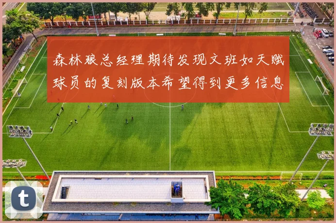 森林狼总经理期待发现文班如天赋球员的复刻版本希望得到更多信息