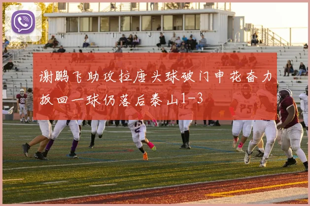 谢鹏飞助攻拉唐头球破门申花奋力扳回一球仍落后泰山1-3